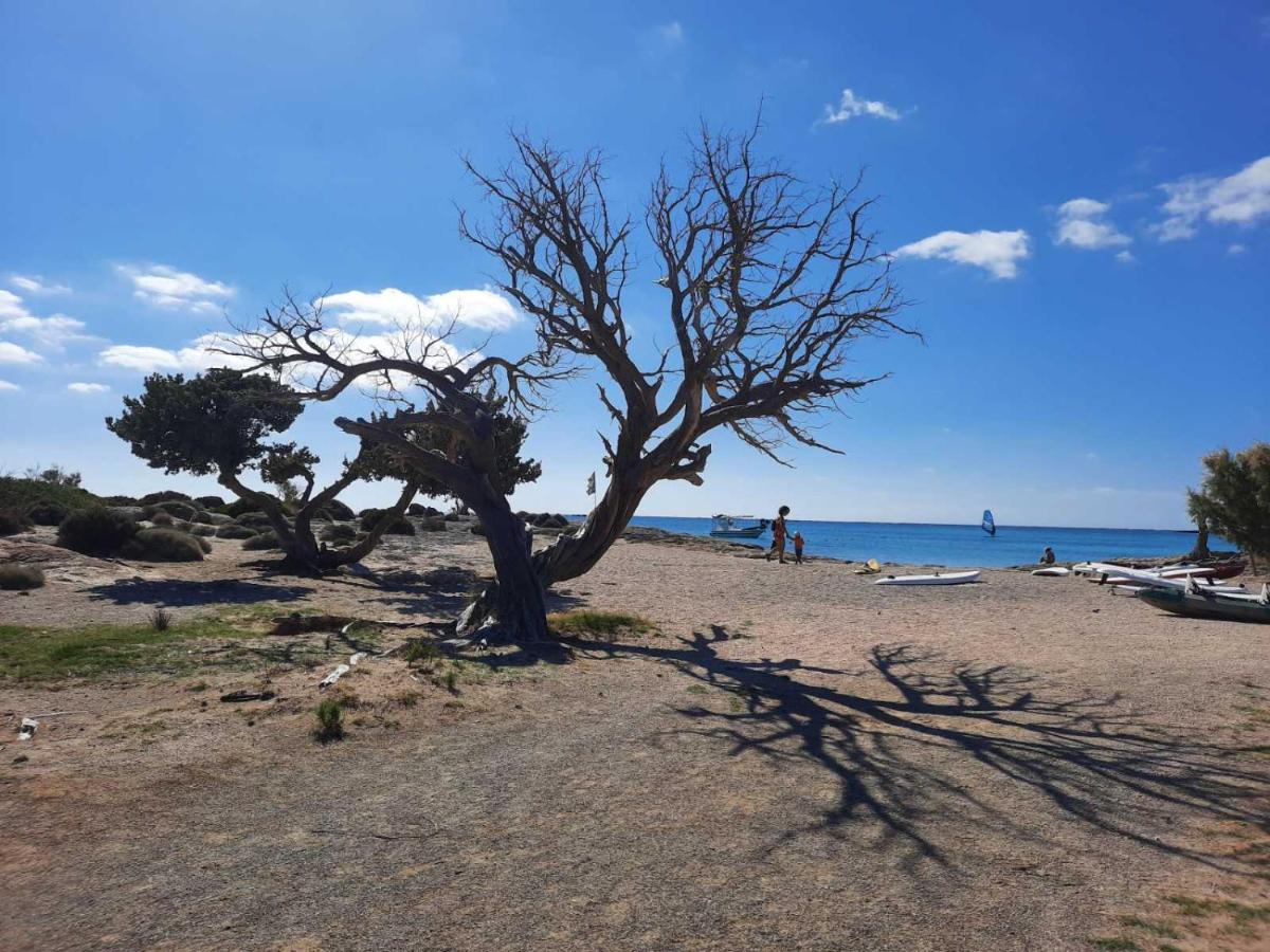 New Sea Escape Boutique Apt-Agii Aposto Li Beach Chania  ภายนอก รูปภาพ