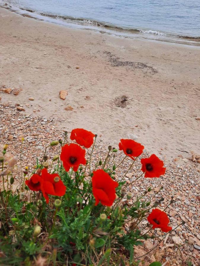 New Sea Escape Boutique Apt-Agii Aposto Li Beach Chania  ภายนอก รูปภาพ