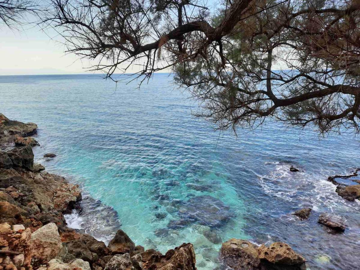 New Sea Escape Boutique Apt-Agii Aposto Li Beach Chania  ภายนอก รูปภาพ