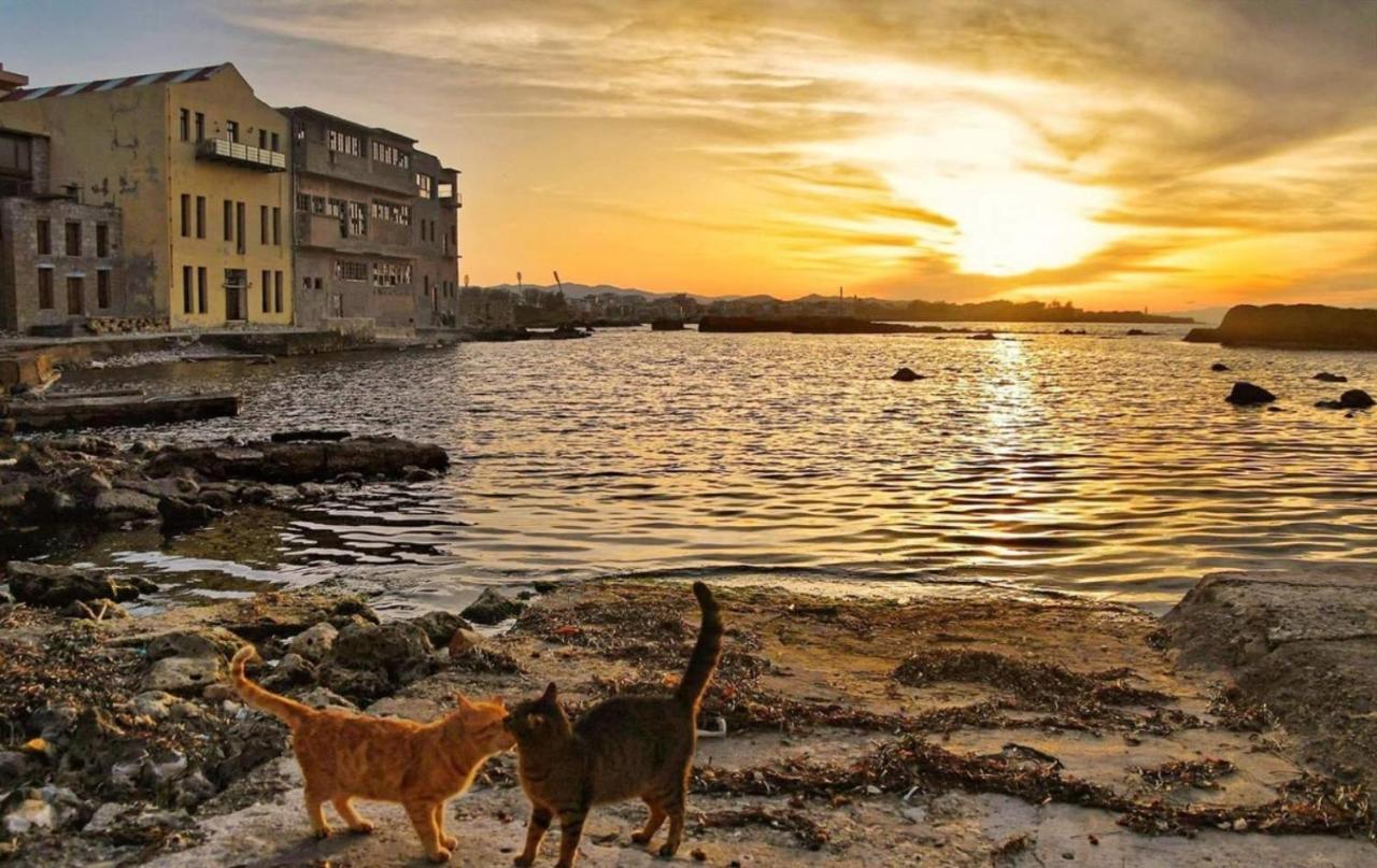 New Sea Escape Boutique Apt-Agii Aposto Li Beach Chania  ภายนอก รูปภาพ