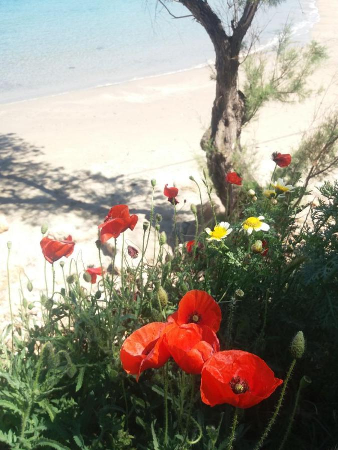 New Sea Escape Boutique Apt-Agii Aposto Li Beach Chania  ภายนอก รูปภาพ